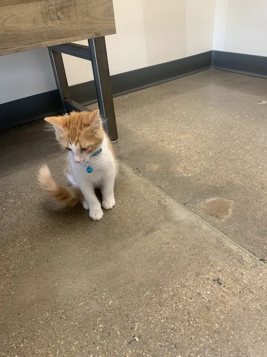 Vetco Total Care Animal Hospital Picture 5