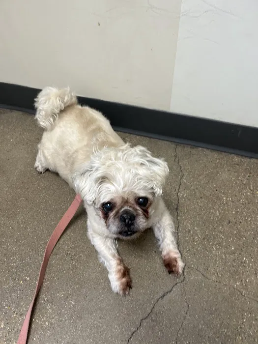 Vetco Total Care Animal Hospital Picture 4