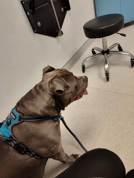 Vetco Total Care Animal Hospital Picture 10