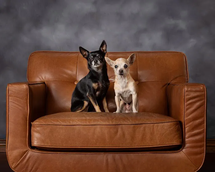 Lewisville Animal Hospital Picture 4