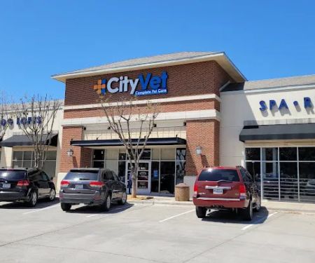 CityVet | Flower Mound