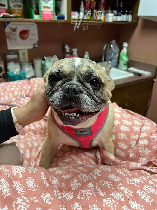 Rosemeade Veterinary Clinic Picture 3