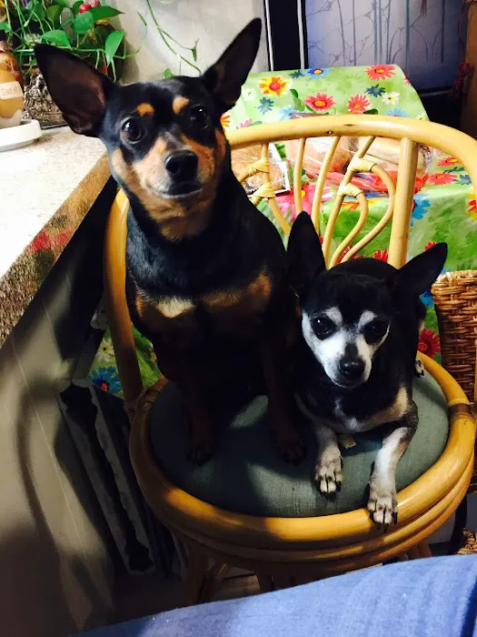 Carrollton West Pet Hospital Picture 5