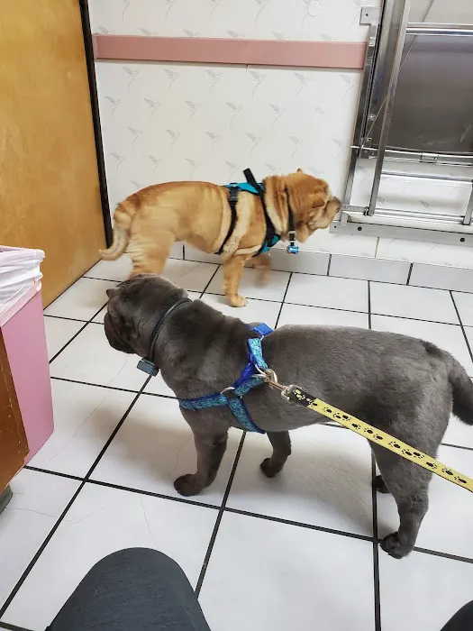 Carrollton West Pet Hospital Picture 8