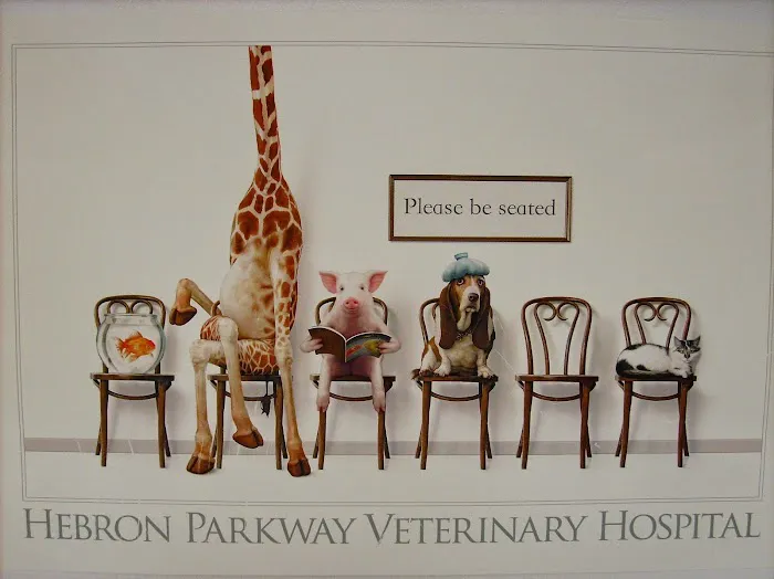 Hebron Parkway Veterinary Hospital Picture 3