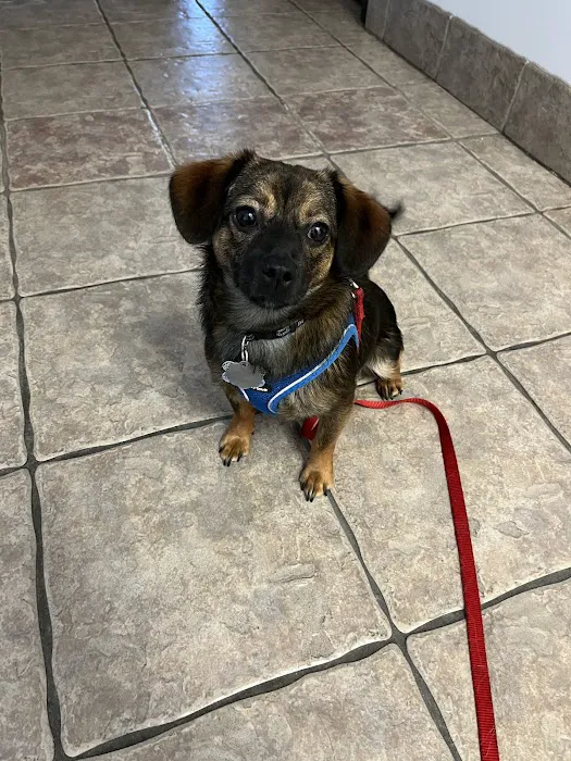 Hebron Parkway Veterinary Hospital Picture 1