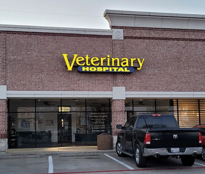 Hebron Parkway Veterinary Hospital Picture 4