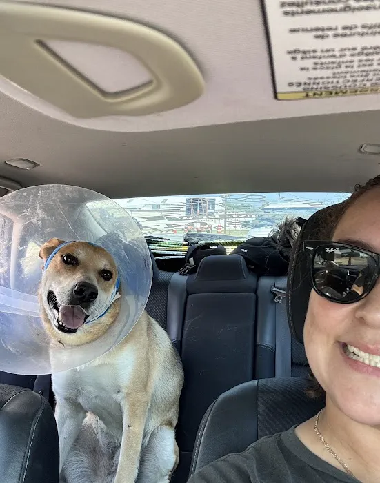 Broadway Animal Clinic Picture 4