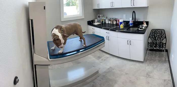Broadway Animal Clinic Picture 5