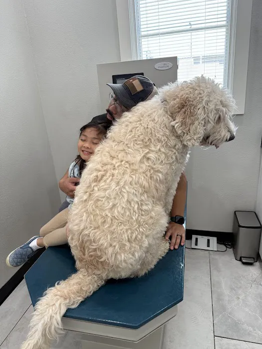 Broadway Animal Clinic Picture 9