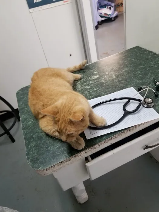 Broadway Animal Clinic Picture 6