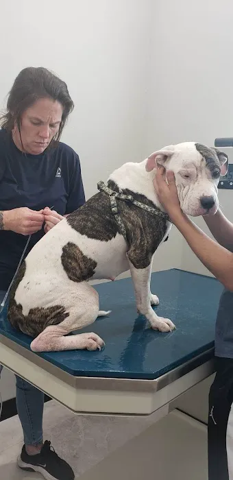 Broadway Animal Clinic Picture 8