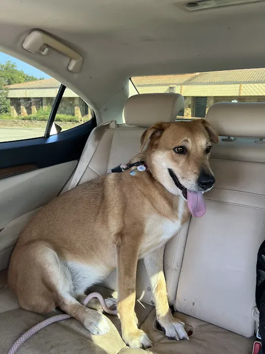 Texas Foundation for Animal Care Picture 4