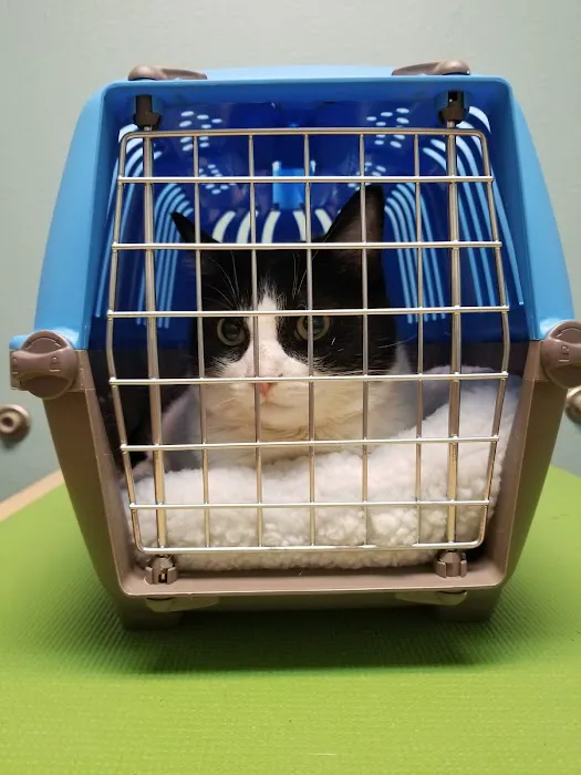 Bridge Street Animal Clinic Picture 9