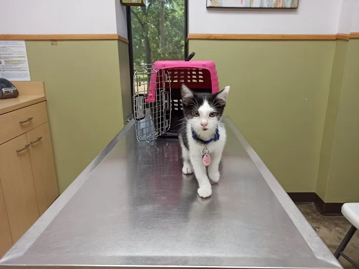 Family PetCare Picture 6