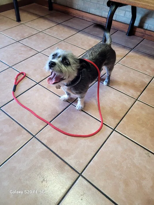 East Lancaster Animal Hospital Picture 1