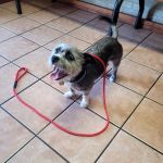 East Lancaster Animal Hospital