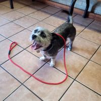 East Lancaster Animal Hospital ico