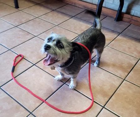 East Lancaster Animal Hospital