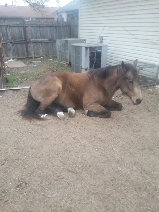 East Lancaster Animal Hospital Picture 7