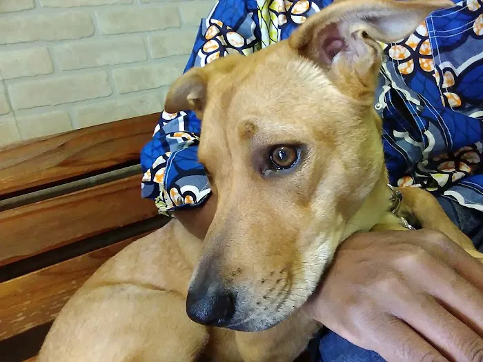 East Lancaster Animal Hospital Picture 10