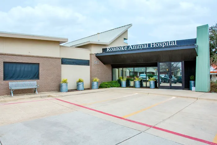 Roanoke Animal Hospital Picture 2
