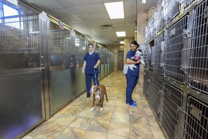 Roanoke Animal Hospital Picture 7