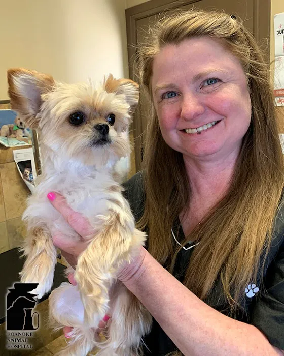 Roanoke Animal Hospital Picture 8