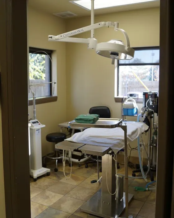 Roanoke Animal Hospital Picture 10