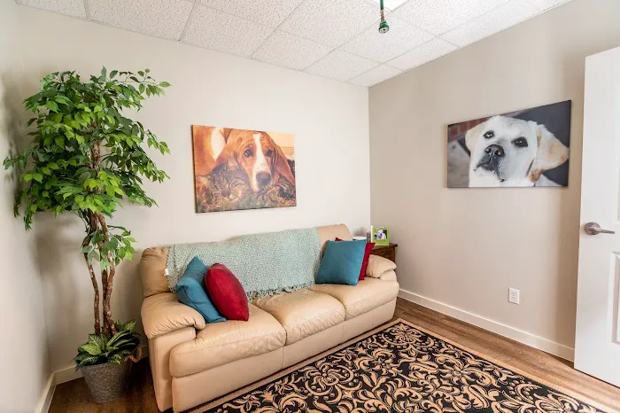 Trophy Club Animal Hospital Picture 3