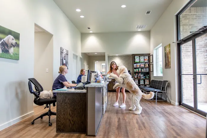 Trophy Club Animal Hospital Picture 2