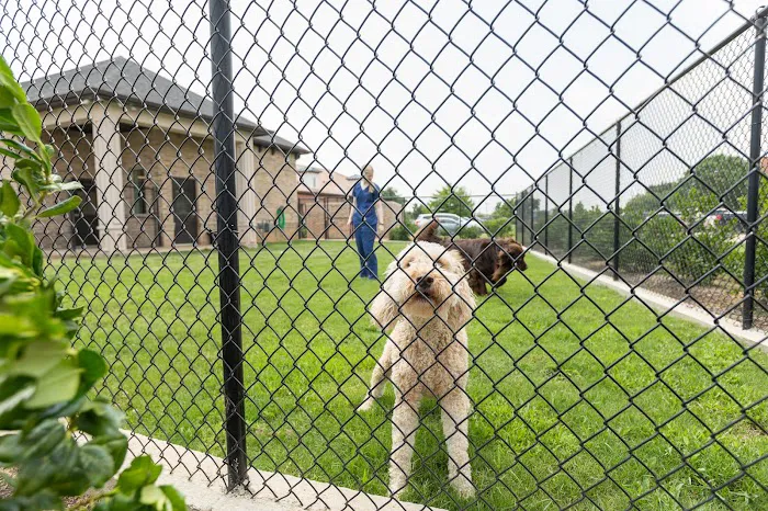 Trophy Club Animal Hospital Picture 9