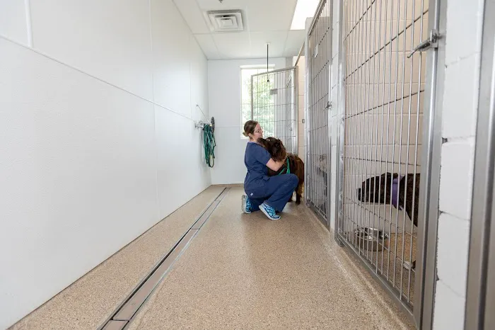 Trophy Club Animal Hospital Picture 8