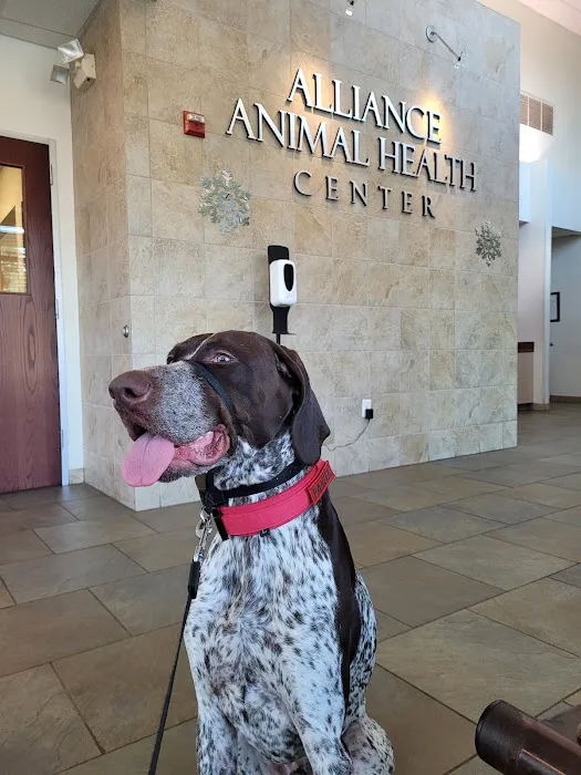Alliance Animal Health Center Picture 6