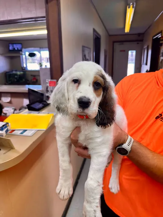 Alta Vista Animal Hospital Picture 8