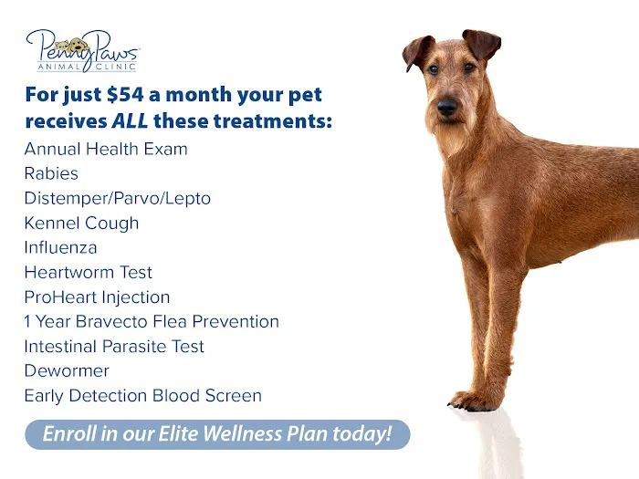 Penny Paws Animal Hospital - Fort Worth Picture 2