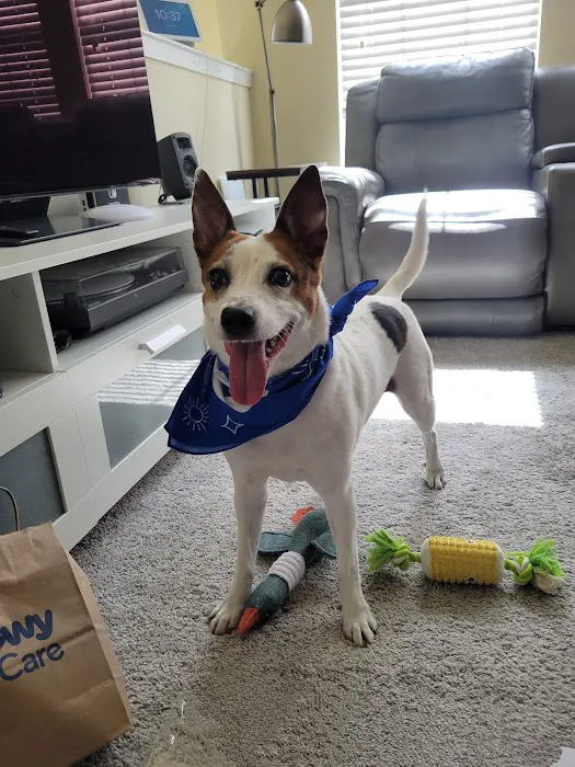 Chewy Vet Care Alliance Picture 5