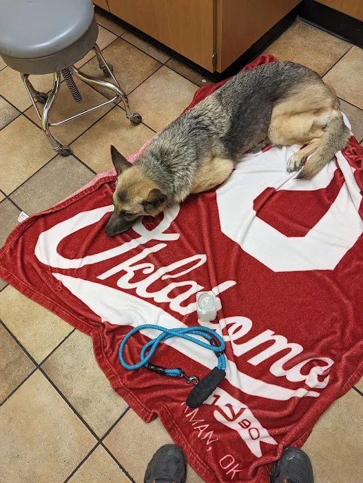 Banfield Pet Hospital Picture 1