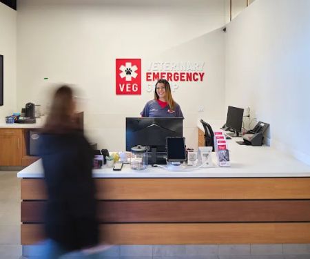 Veterinary Emergency Group