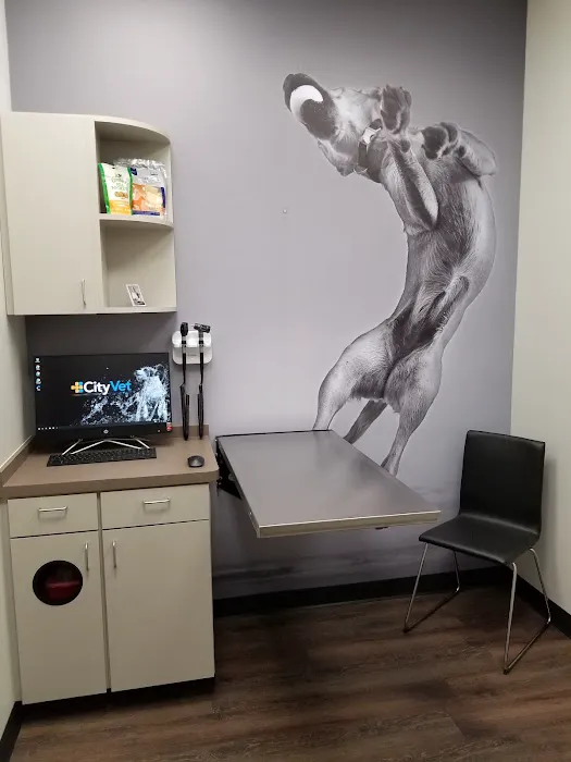 CityVet | Alliance Veterinary Clinic & Urgent Care Picture 4