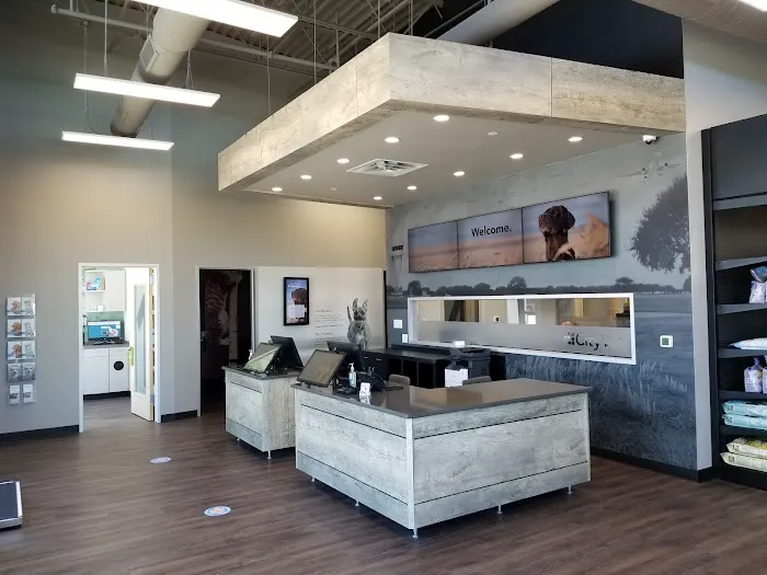 CityVet | Alliance Veterinary Clinic & Urgent Care Picture 3