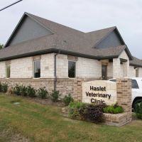 Haslet Veterinary Clinic ico
