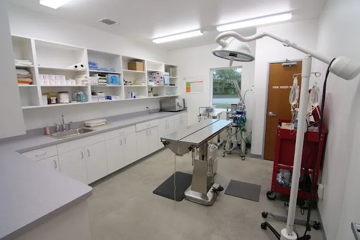 Haslet Veterinary Clinic Picture 2