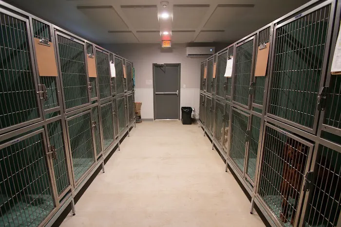 Haslet Veterinary Clinic Picture 7