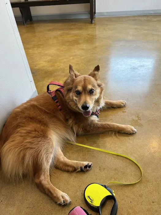 Haslet Veterinary Clinic Picture 6