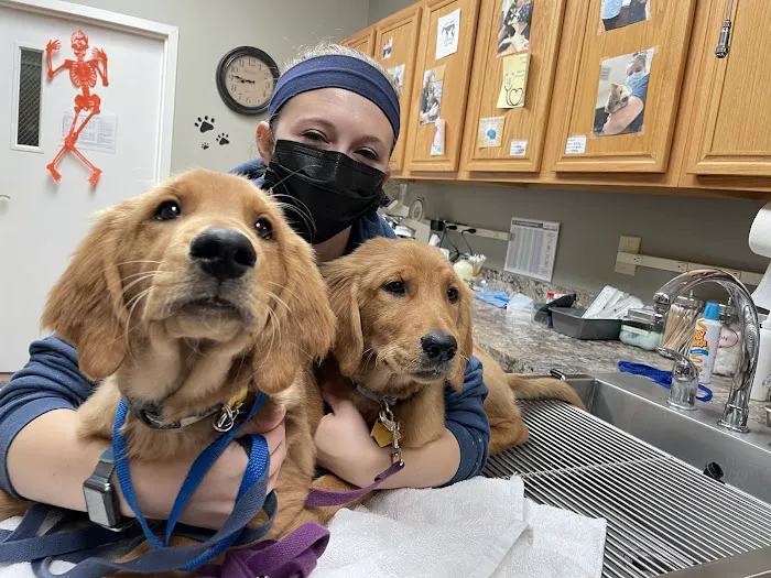 Buckingham-Plano Road Veterinary Clinic Picture 6