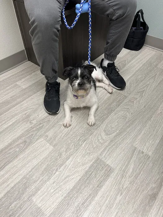 ACTS Veterinary Care Picture 3