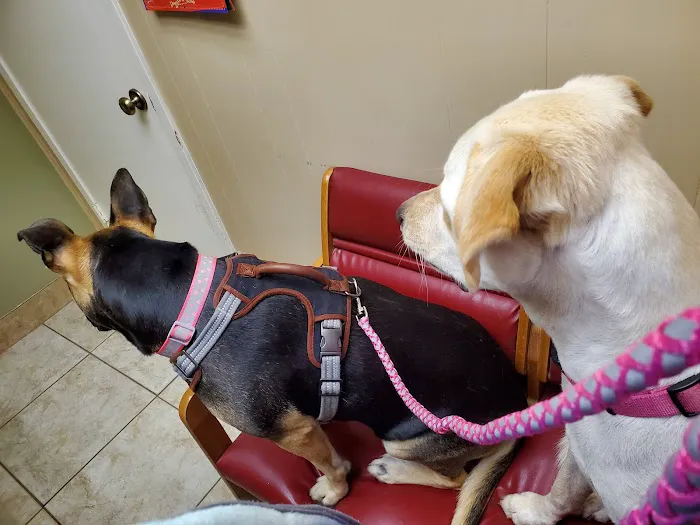 Midlothian Veterinary Clinic Picture 8