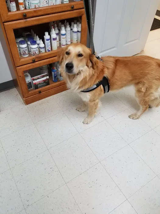 14th Street Veterinary Clinic Picture 4