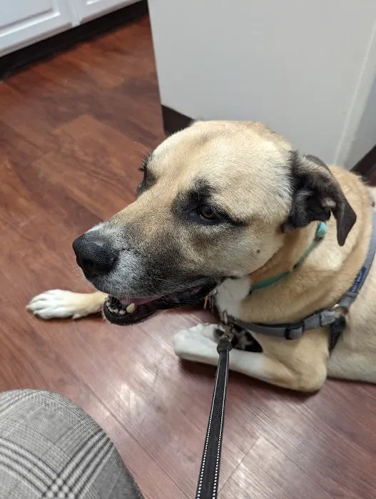 Waxahachie Veterinary Clinic Picture 3